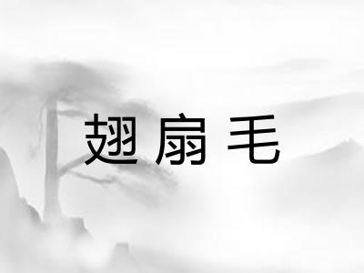 翅扇毛
