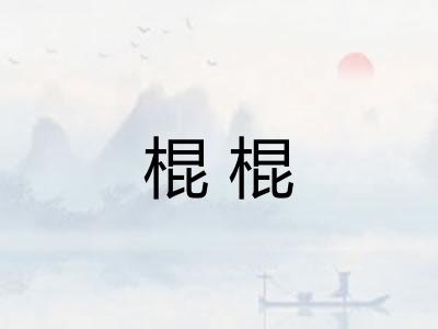棍棍
