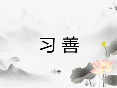 习善