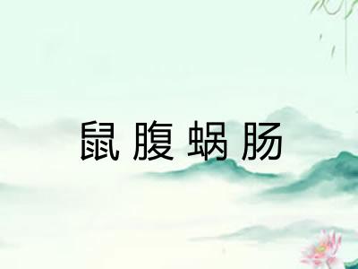 鼠腹蜗肠