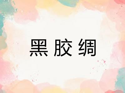 黑胶绸
