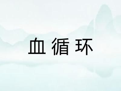 血循环