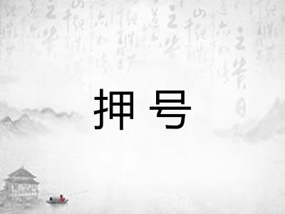 押号