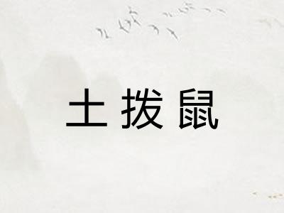 土拨鼠