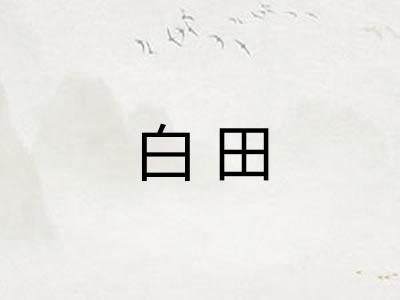 白田