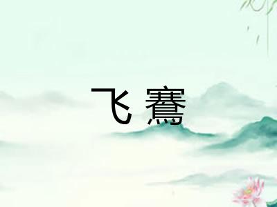 飞鶱