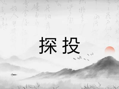 探投