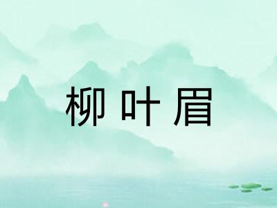 柳叶眉