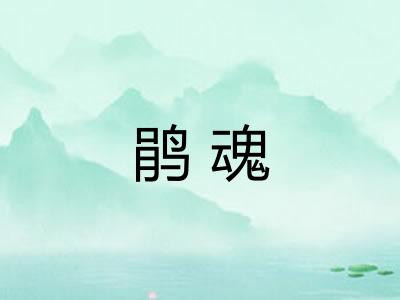 鹃魂