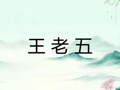 王老五