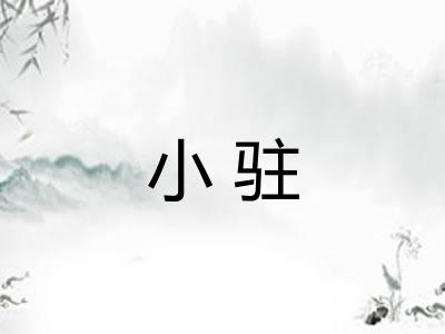小驻