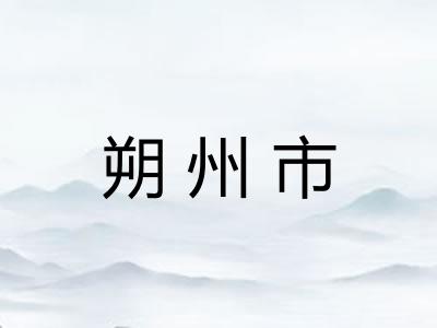 朔州市