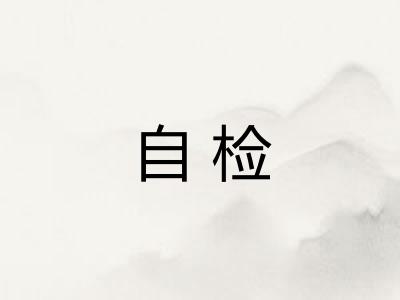 自检