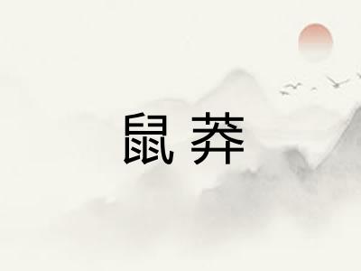 鼠莽
