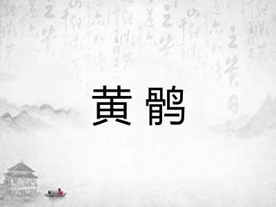 黄鹘