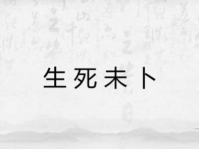 生死未卜 生死未卜