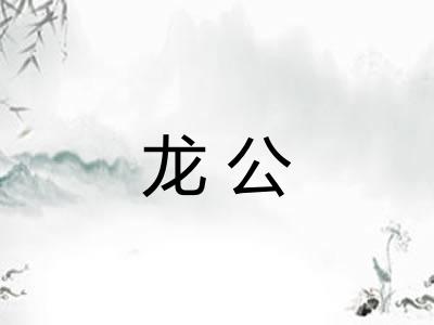 龙公