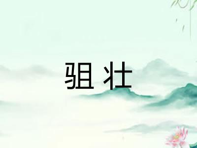 驵壮