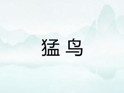 猛鸟