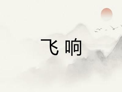 飞响