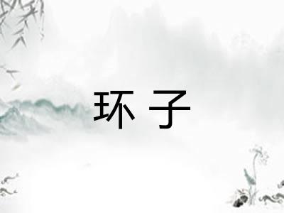 环子