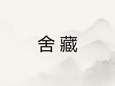 舍藏