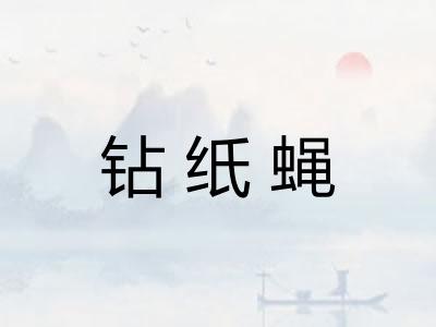 钻纸蝇