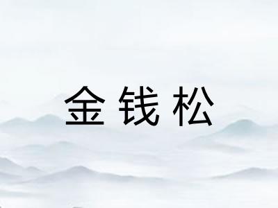 金钱松
