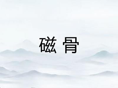 磁骨