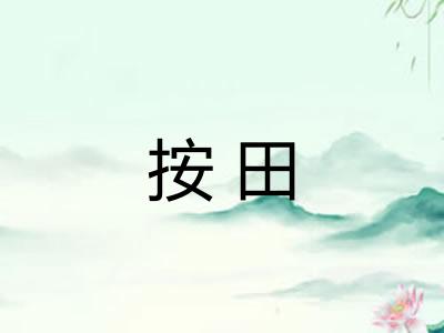 按田