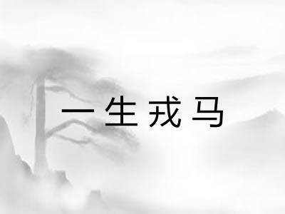 一生戎马
