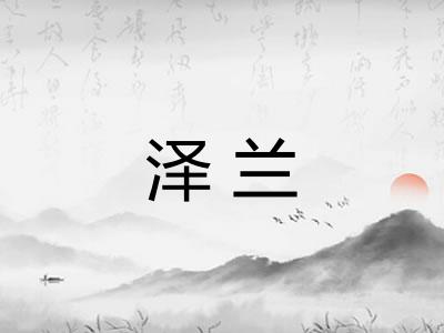 泽兰