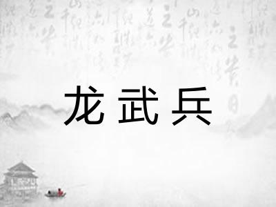 龙武兵