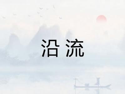 沿流