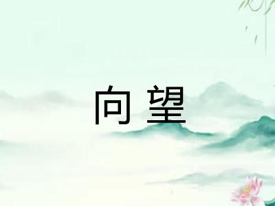 向望