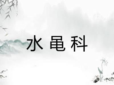 水黾科