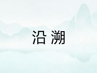 沿溯
