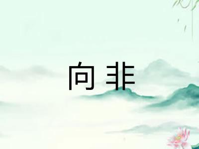 向非