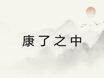 康了之中