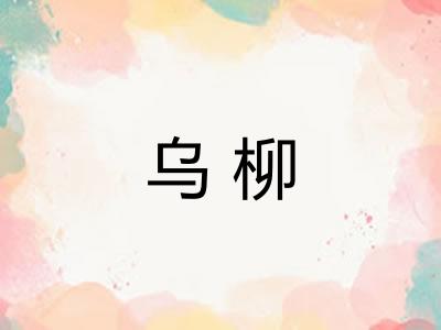 乌柳