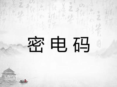 密电码