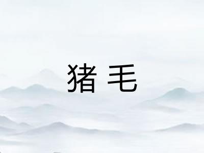 猪毛