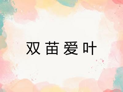 双苗爱叶