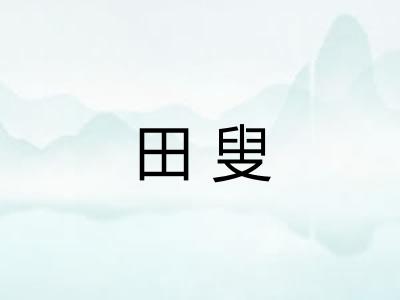 田叟