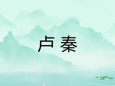 卢秦