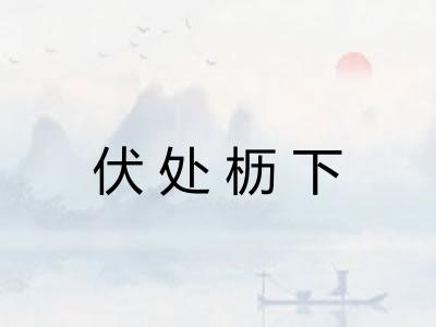 伏处枥下