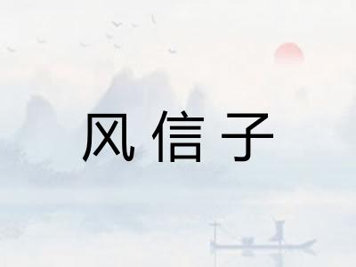 风信子