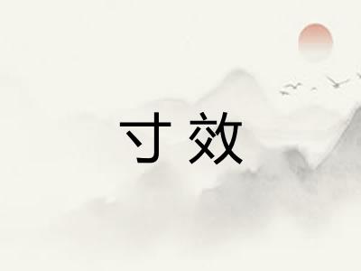 寸效