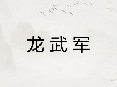 龙武军