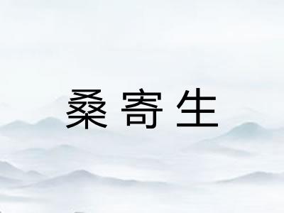 桑寄生